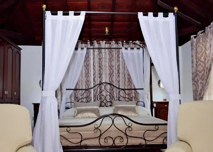 Hotel Drago San Antonio