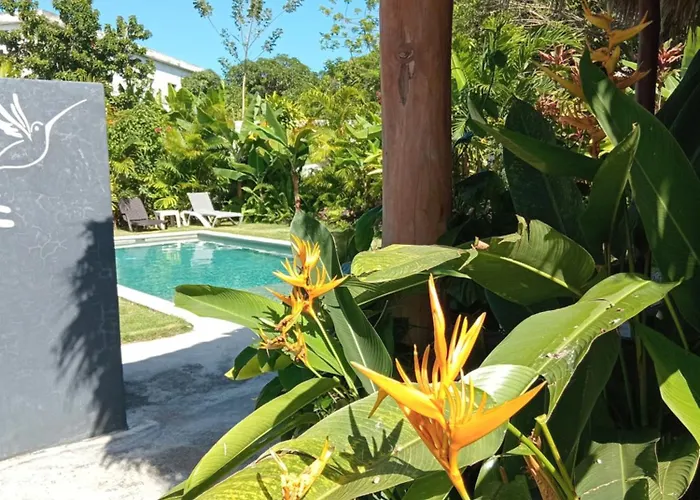 Bungalows Colibri
