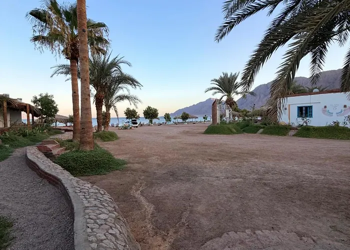 Palm Valley Camp