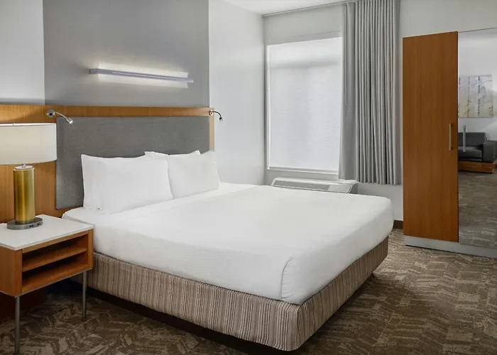 Springhill Suites By Marriott Detroit Metro Airport Romulus