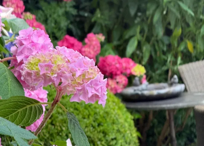 De Roos Leeuwarden Bloementuin & Biodynamisch Ontbijt
