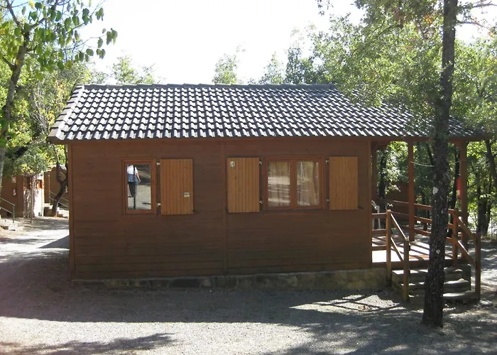 Holacamp Ainsa