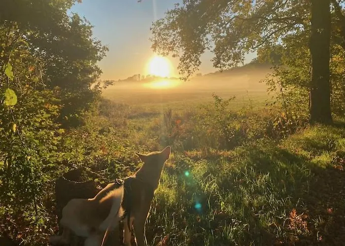 Slaaphutje Buitenwedde Westerwolde