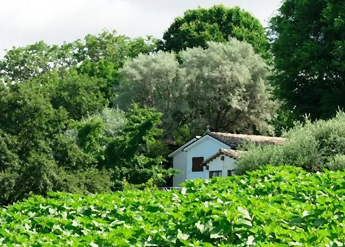 Barbagianni