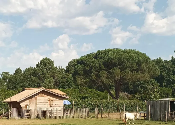 Gîte - La Ferme à la Plage