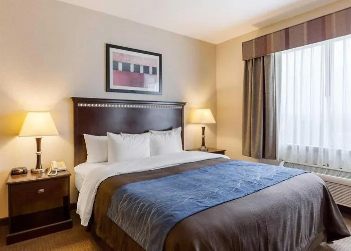Comfort Inn & Suites Winnie