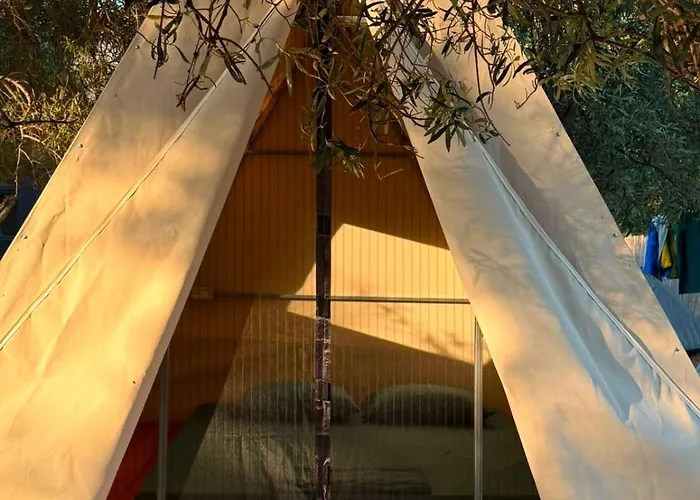 Borsh Olive Camping