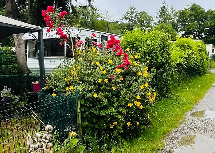 Camping Du Moulin Etang De Peche Ferme Nature