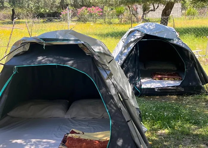 Waveside Camping