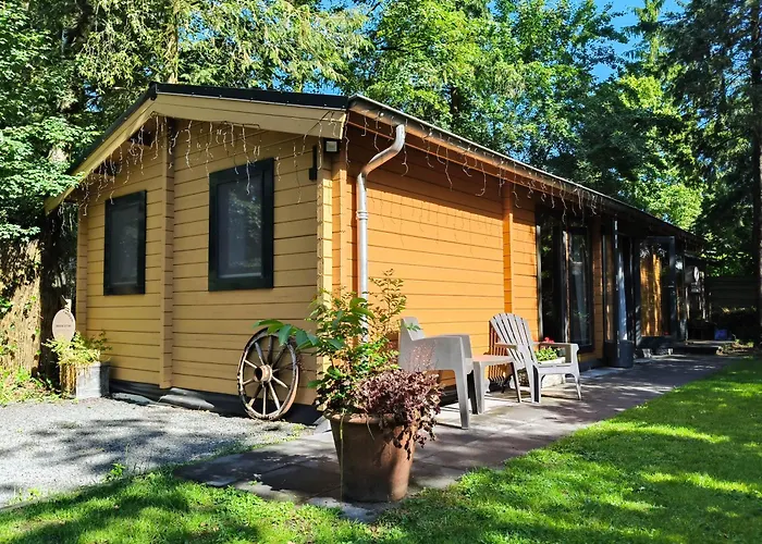 Charmant, Gezellig En Knus 5P Chalet Op Veluwe Naast Sauna Drome