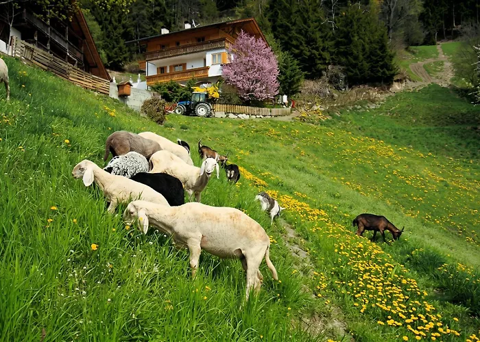 Hotel Rastlhof