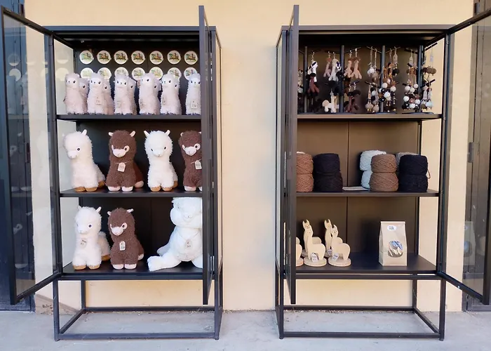 Alpacacamp