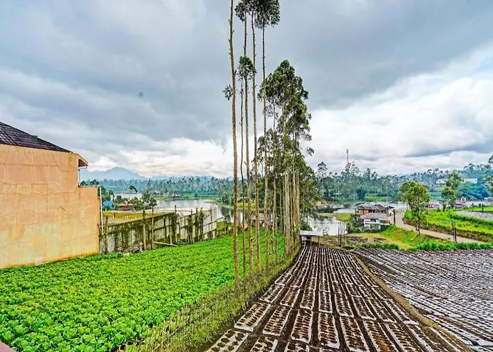 Hotel O Artana Bed And Breakfast.Nearsitu Cileunca