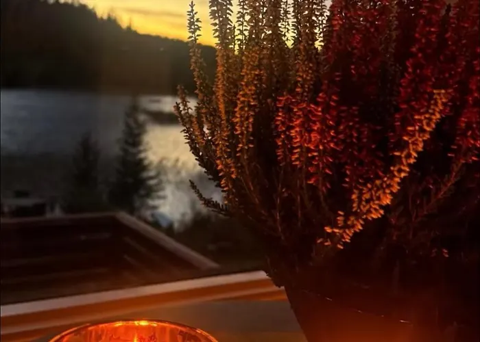 Cozy Lakeside Cabin