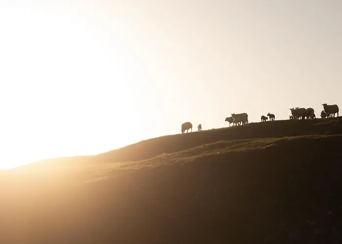 The Wagon, Rustic Off Grid Experience