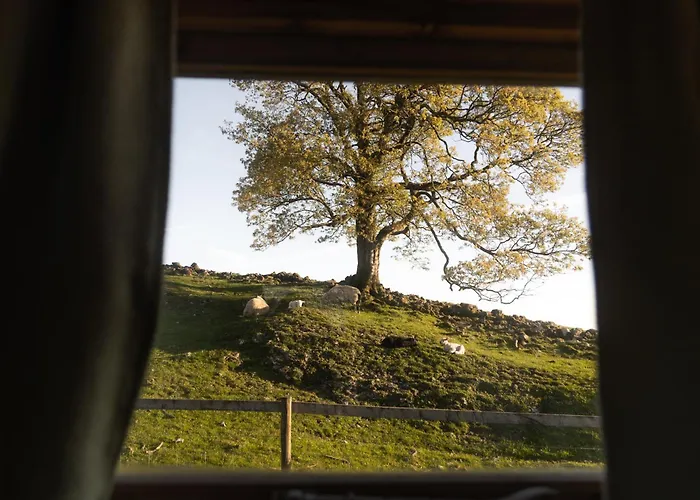 The Wagon, Rustic Off Grid Experience