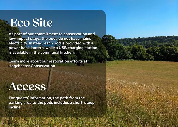 Hogchester Meadow Pods