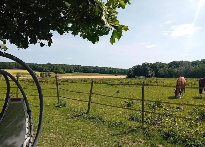 Roulotte insolite Ranch Fanfan