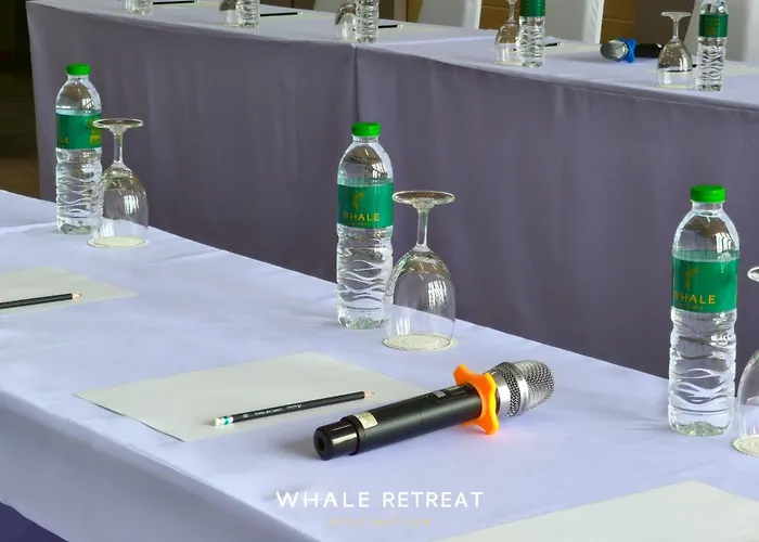 Whale Retreat Destination