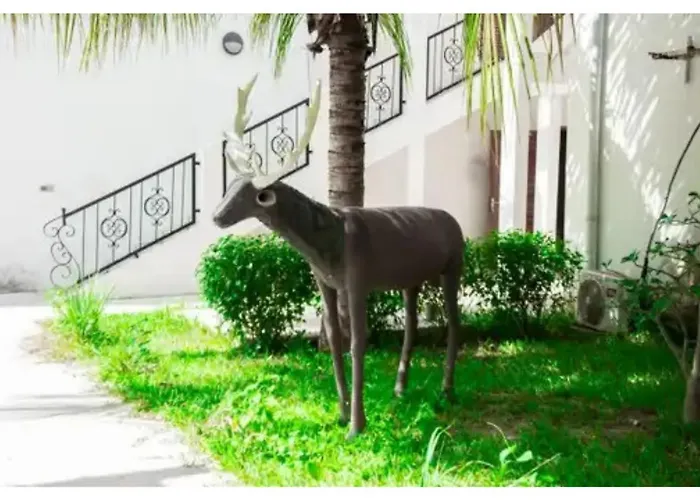 Hotel La Marsu