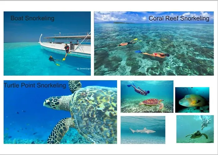 Tripo Travel
