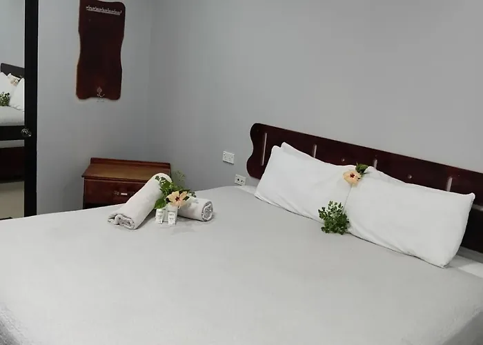 The Oasis Hotel 88