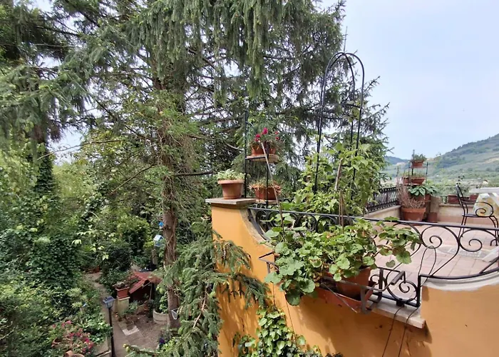 Oasi Gioia Verde