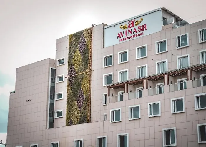 Avinash International