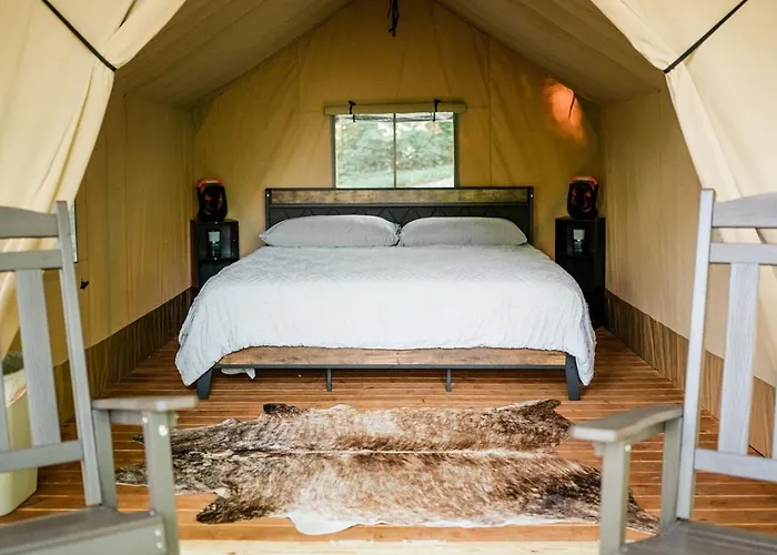 Glampknox Canvas Campground - Tree Solo