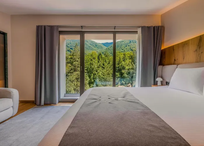 Pine Hotel & Spa Brezovice