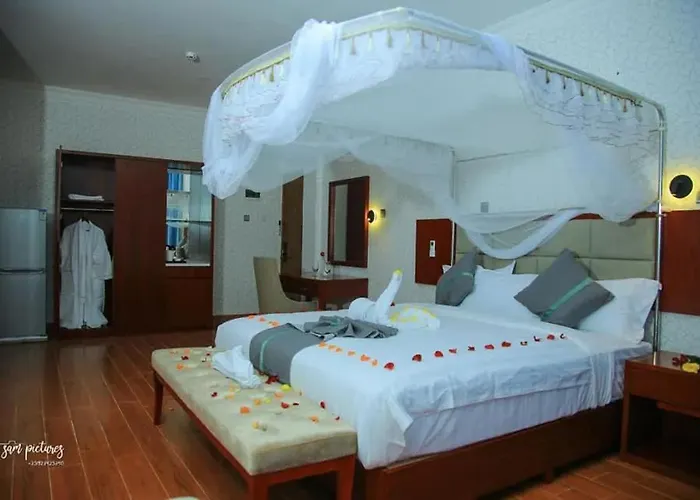 Fidel Hotel