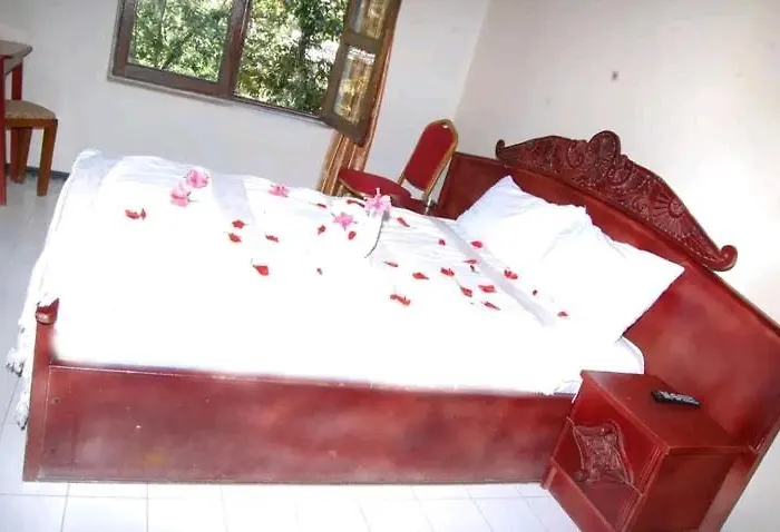 Tana Royal Suites Bahirdar Hotels