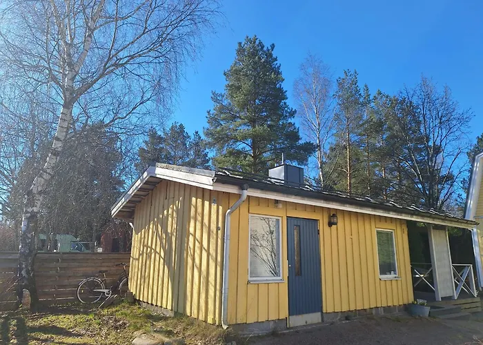 Saunamoekki