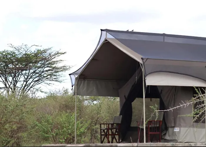 Wild Enthusiasts Camps