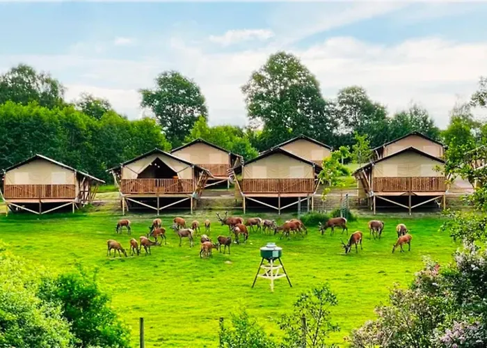 Skanes Djurpark - Wild Lodge