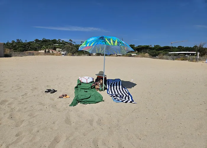 St Tropez Surprise