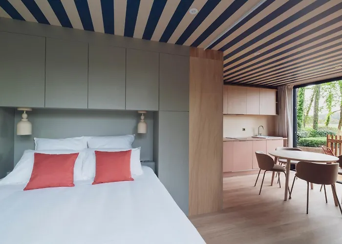 Bonjour Sauvage Saint Jean De Luz