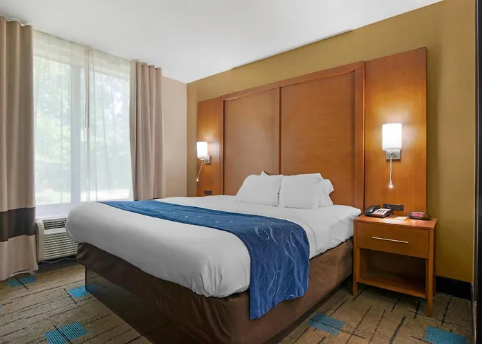 Comfort Suites Near Mcas Beaufort