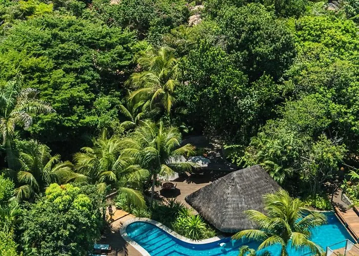 Sombra E Agua Fresca Floresta