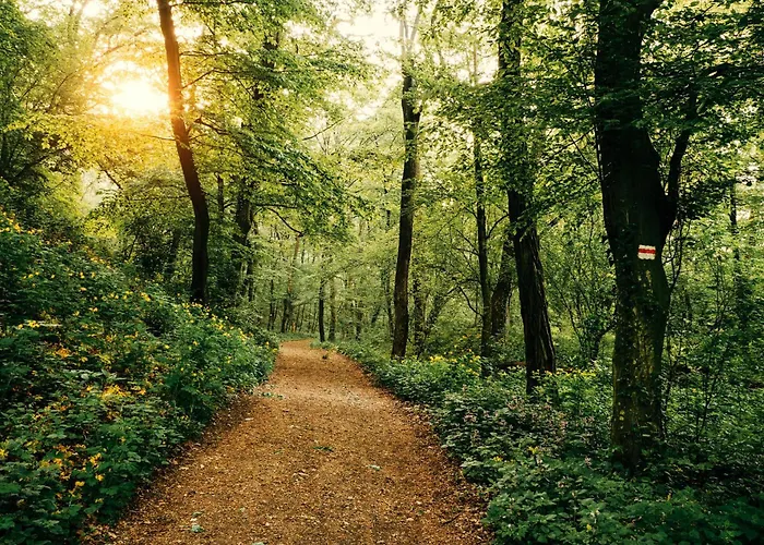 Holiday Inn Express & Suites Crossville By Ihg