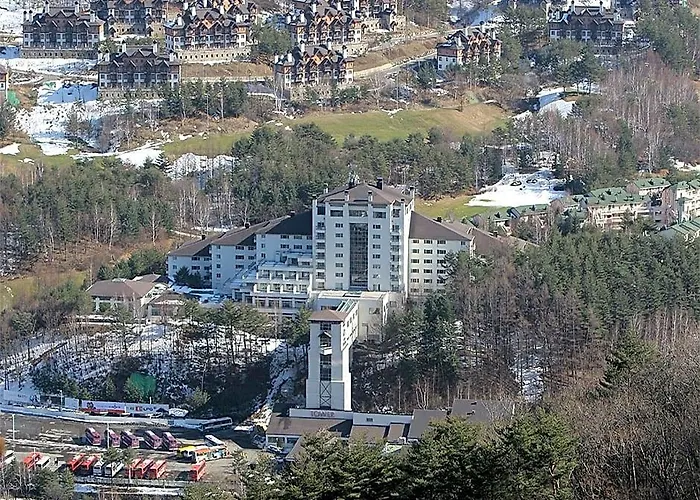 Mona Yongpyong Hotel