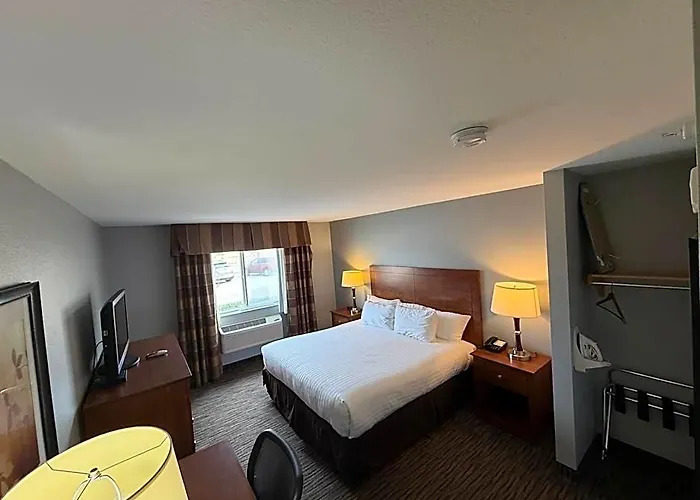 American Inn & Suites