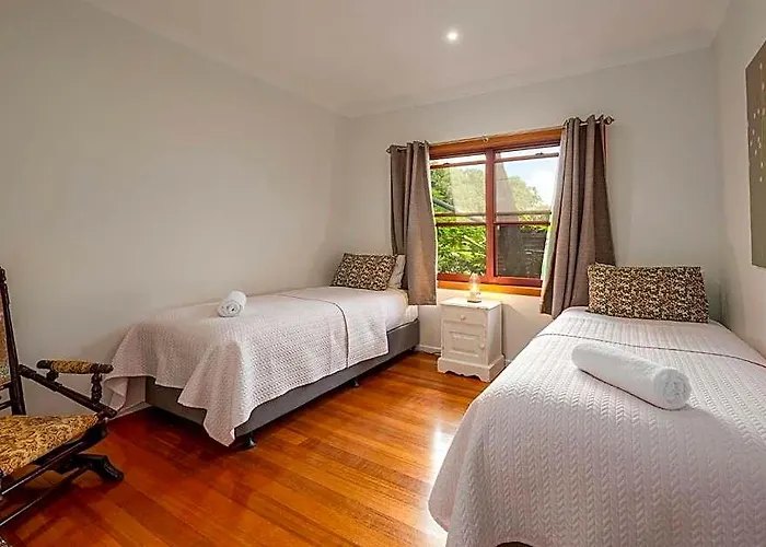 Cedia At Byron Bay Hinterland