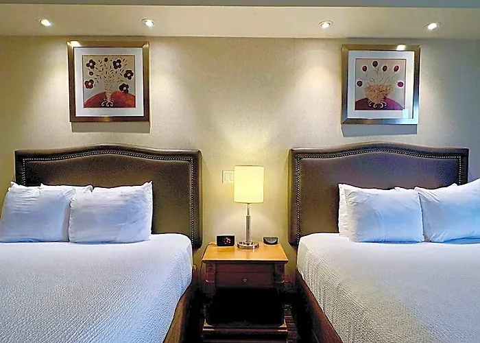 Waterloo Suites Hotel, Trademark Collection By Wyndham