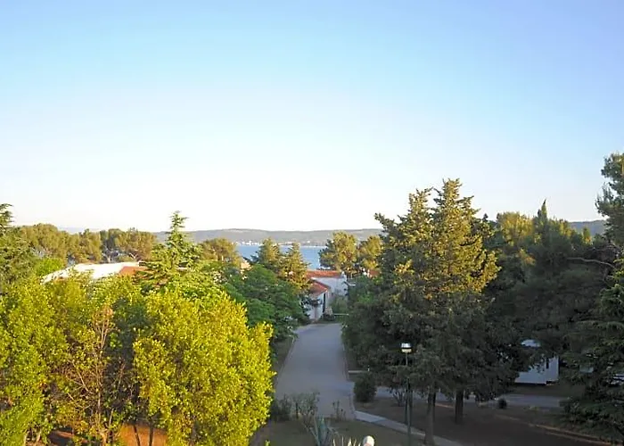 Perkovic Ana