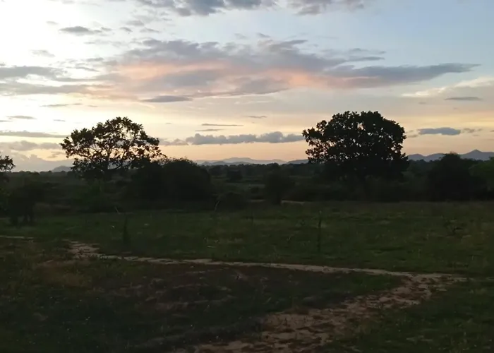 The Campers Lodge Yala