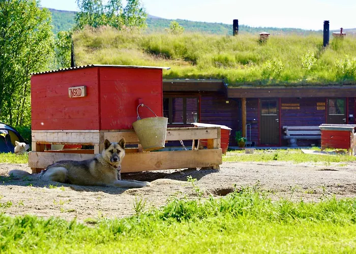 Guesthouse / Huskyfarm Innset