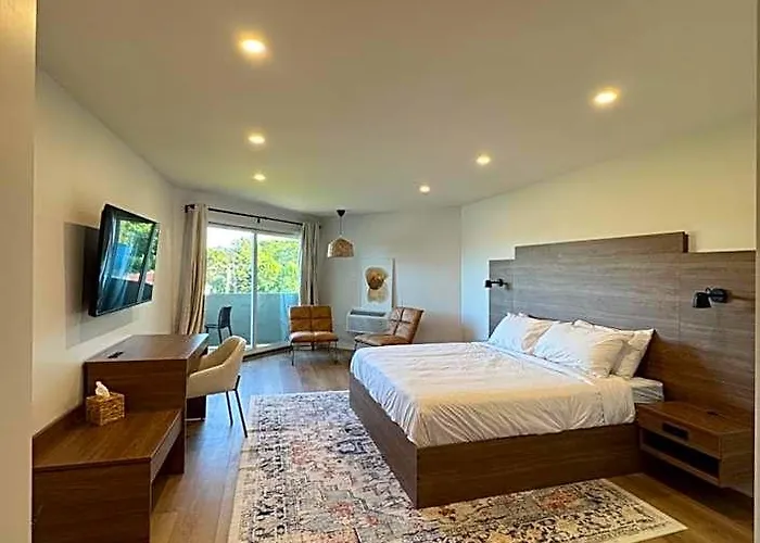 Hotel 19