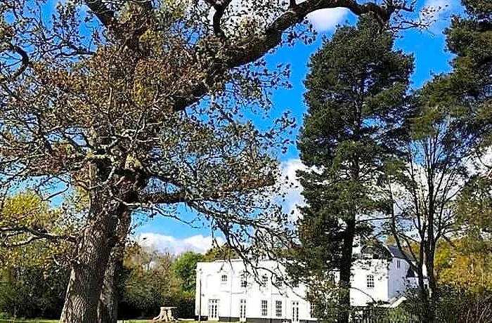 The Retreat New Forest