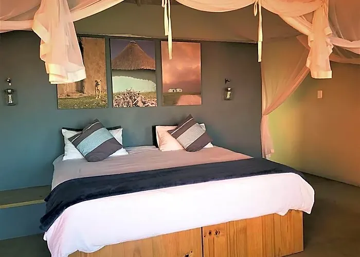 Swell Eco Lodge